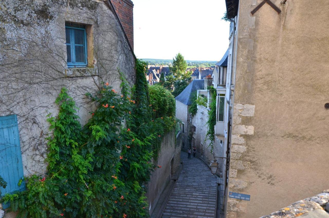 Le Vinci Studio Tout Confort Proche Centre Ville Avec Terrasse Et Parking Blois Buitenkant foto