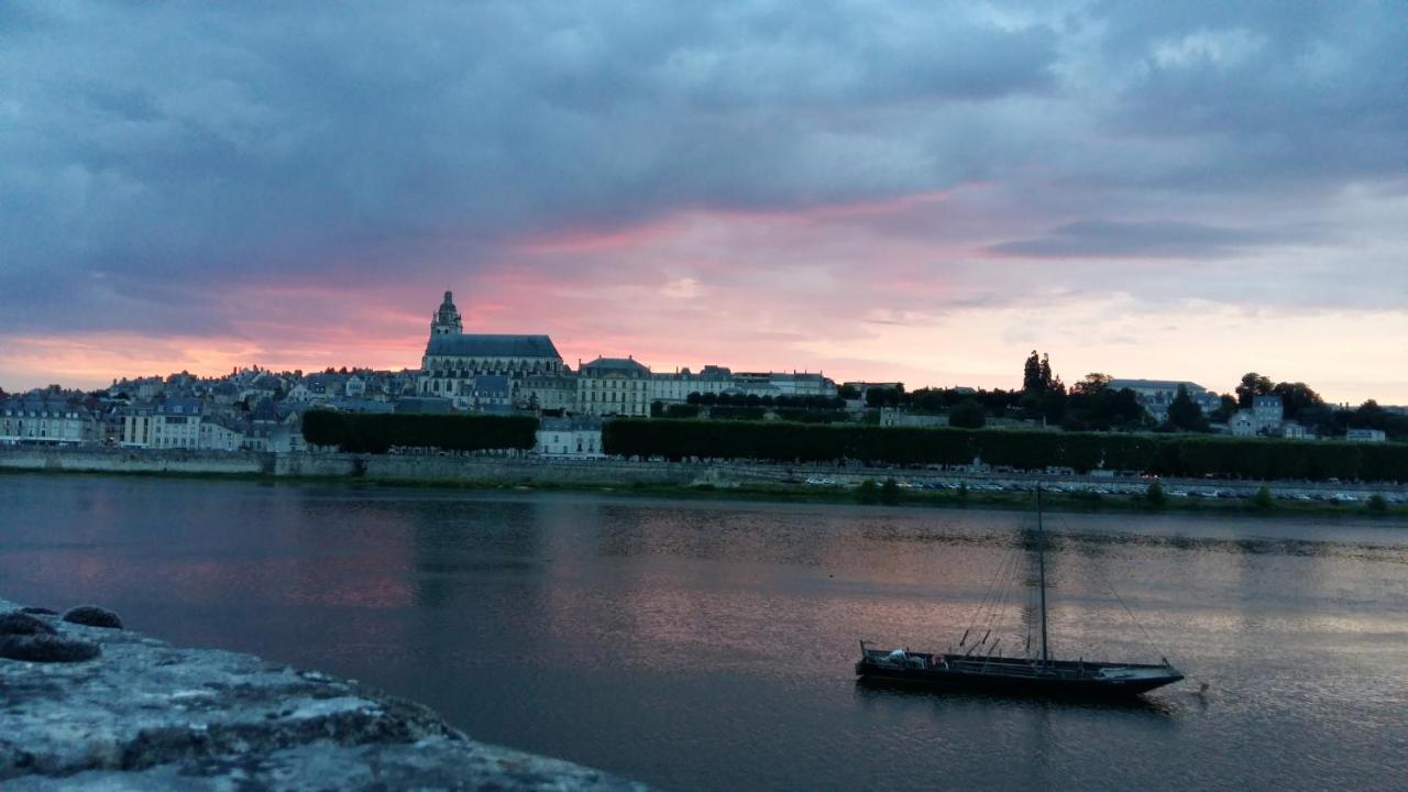 Le Vinci Studio Tout Confort Proche Centre Ville Avec Terrasse Et Parking Blois Buitenkant foto